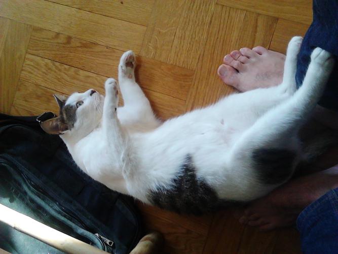 Susko